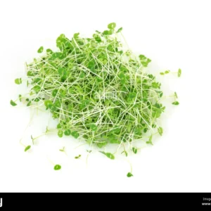 Organic Chia Microgreens